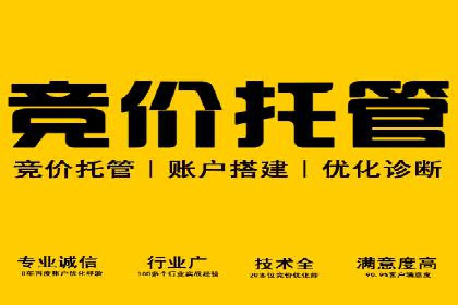 网站SEM托管优化策略及成功案例